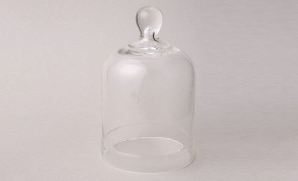 Bell jar (1371)