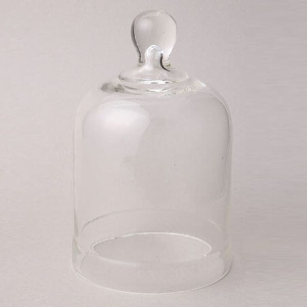 Bell jar (1371)