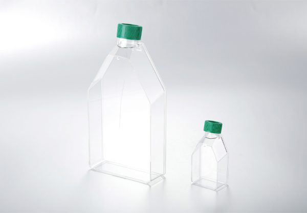 Cell culture flask