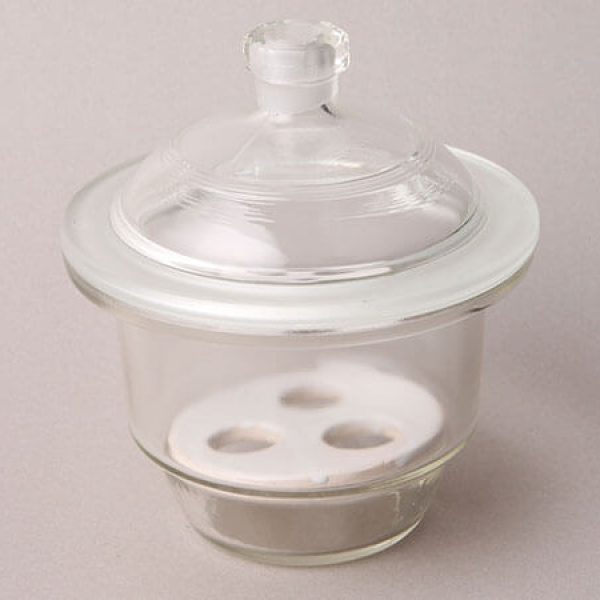 Desiccator (1351)
