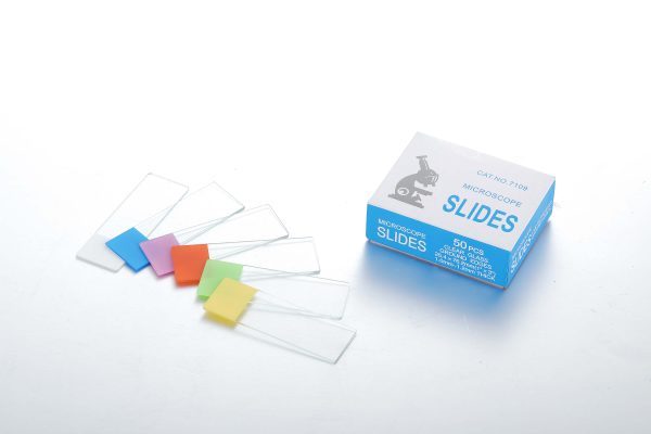 Microscope Slides (GT201-8105-3-4)