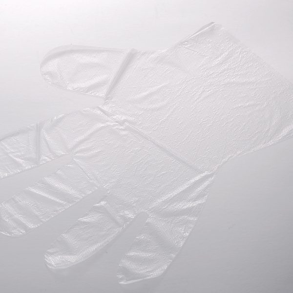 PE Gloves