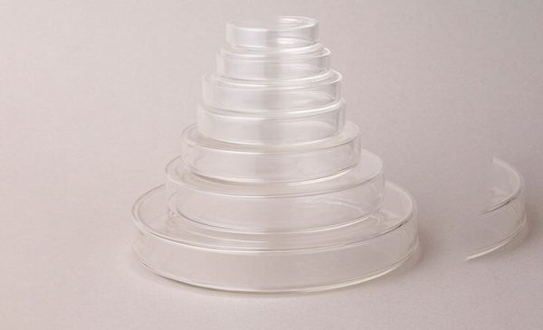 Petri culture dish (1177)