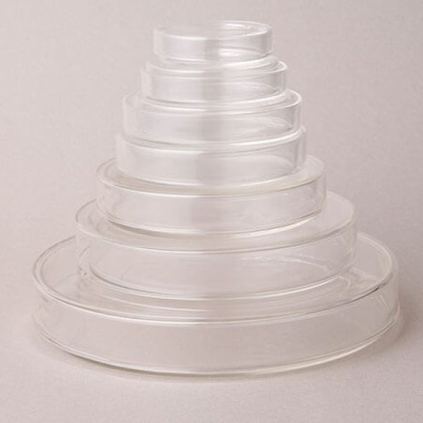 Petri culture dish (1177)